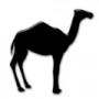 Camel Cup icon