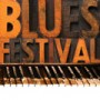 Chicago Blues Festival icon