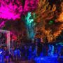 Dimensions Festival icon