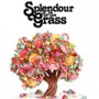 Splendour in the Grass icon