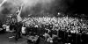 2000 Trees thumb 4