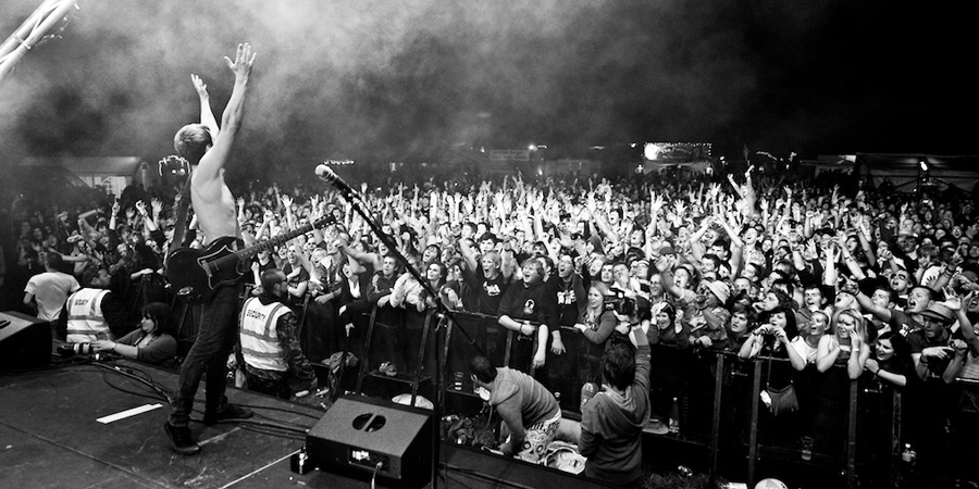 2000 Trees image 4