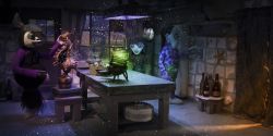 Animator festival
