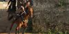 Ardia di Costantino thumb 10