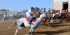 Ardia di Costantino thumb 14
