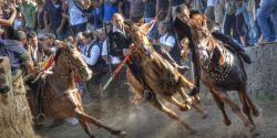 Ardia di Costantino festival