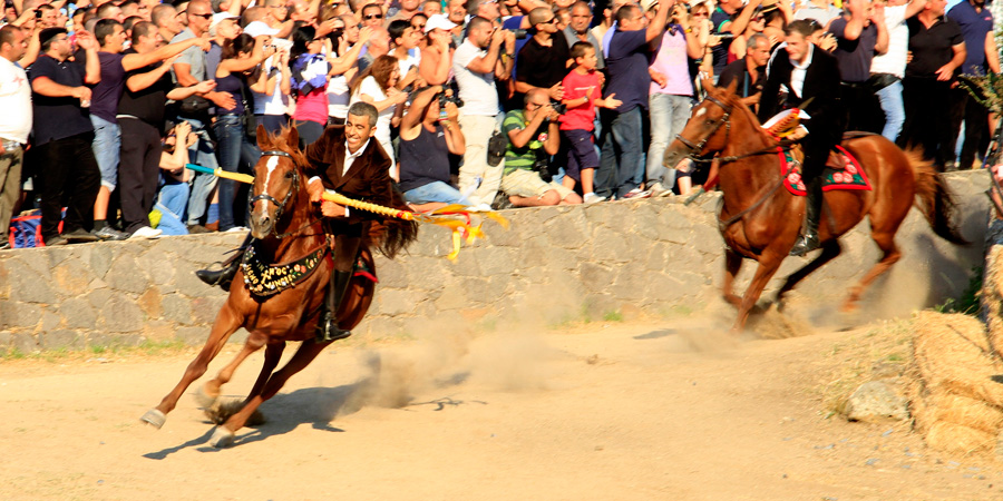 Ardia di Costantino image 11