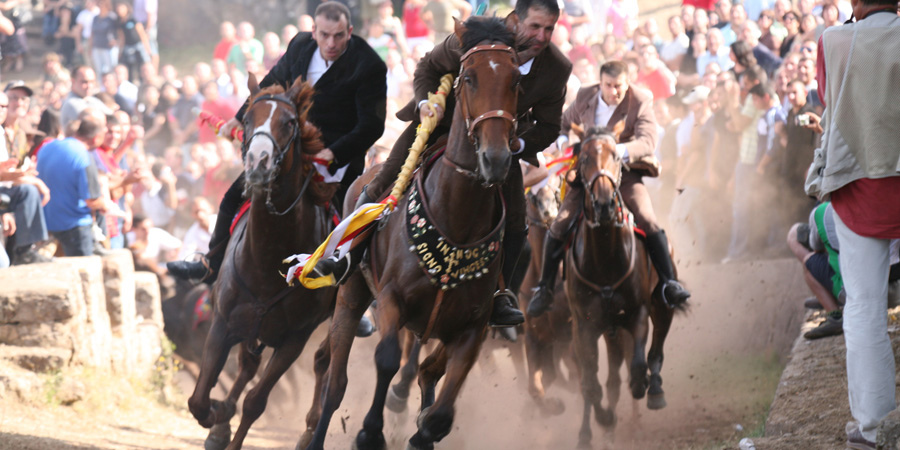 Ardia di Costantino image 12