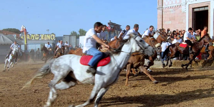 Ardia di Costantino image 14