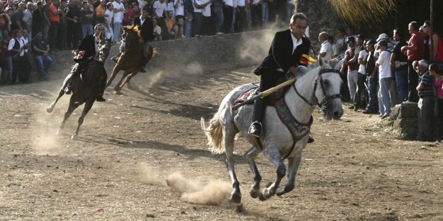 Ardia di Costantino image 2