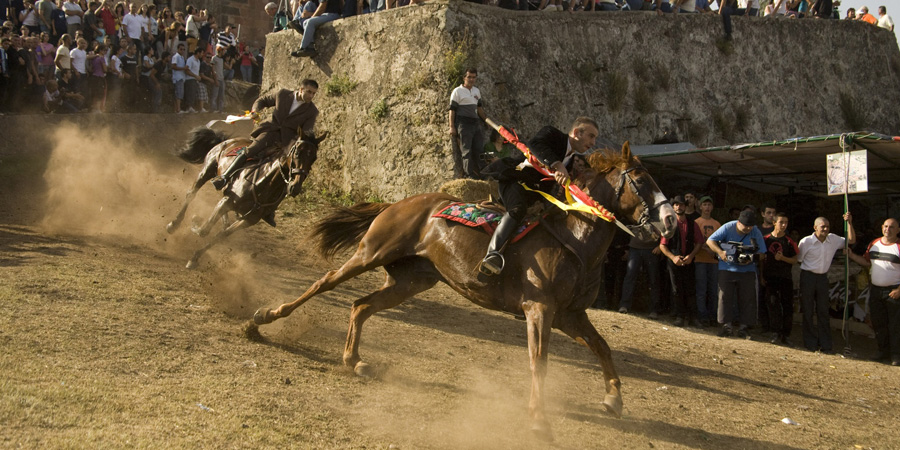 Ardia di Costantino image 4