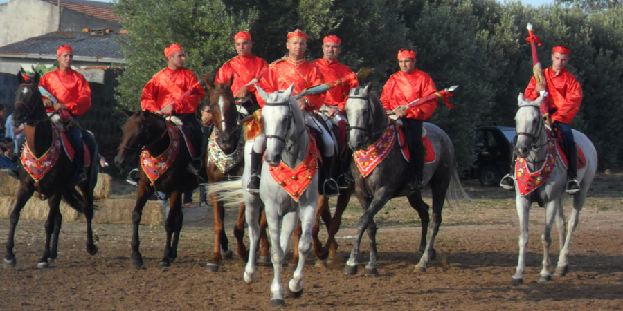 Ardia di Costantino image 5