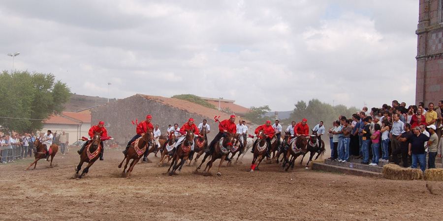 Ardia di Costantino image 8