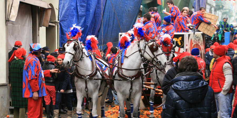 Battle of the Oranges image 6