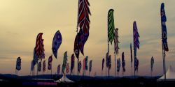 Bažant Pohoda festival
