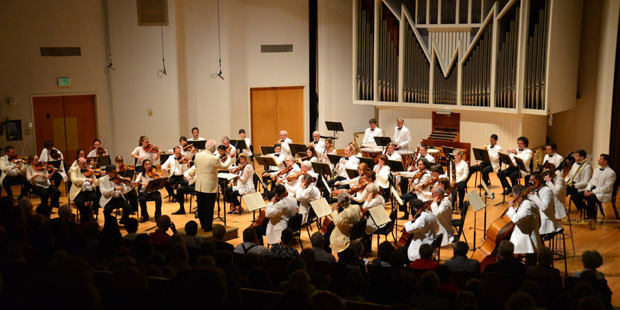 Bellingham Festival image 0