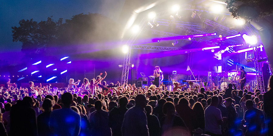 Blissfields image 2