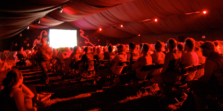 Bonnaroo image 6