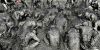 Boryeong Mud Festival thumb 13