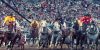 Calgary Stampede thumb 1