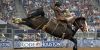 Calgary Stampede thumb 2