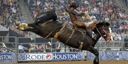 Calgary Stampede festival