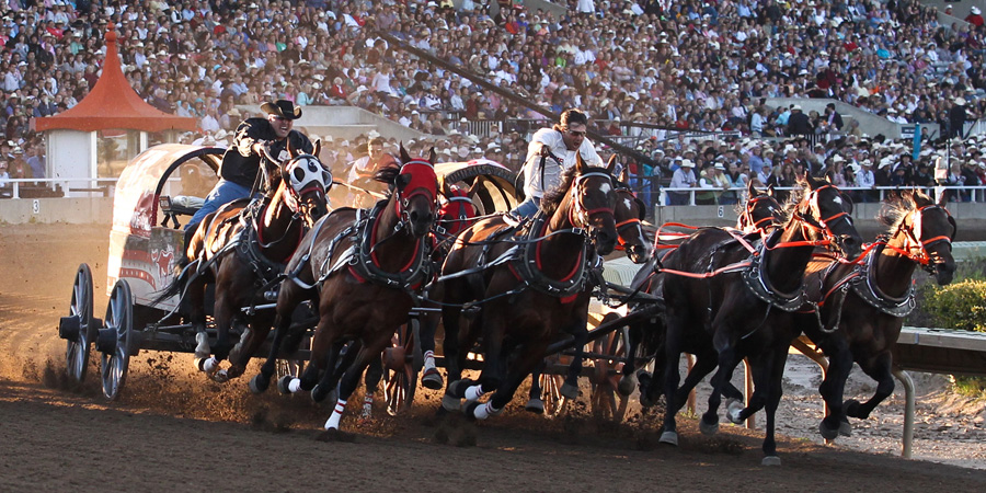 Calgary Stampede image 0
