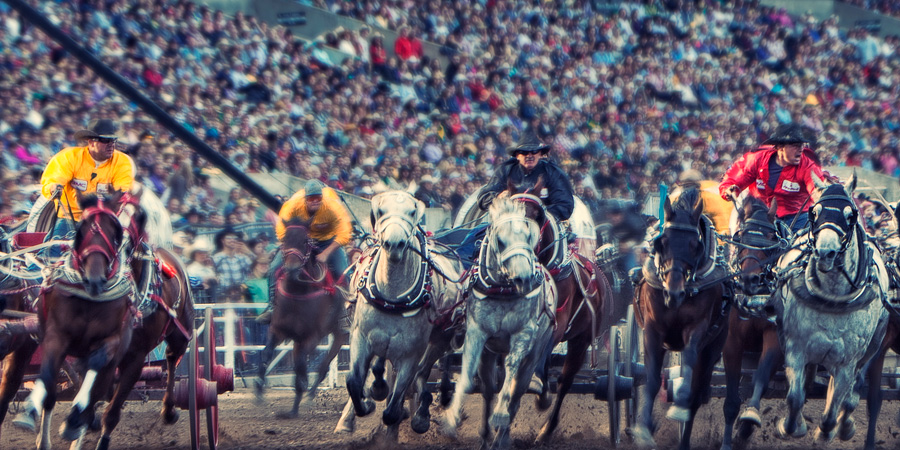 Calgary Stampede image 1