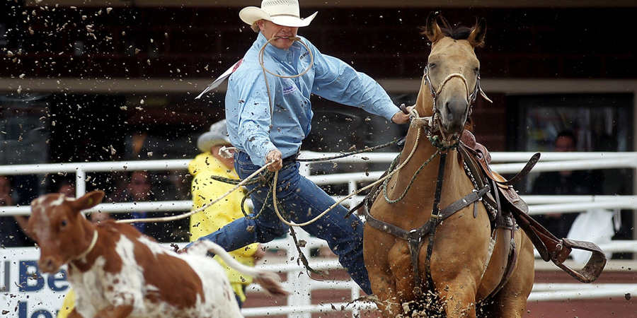 Calgary Stampede image 15