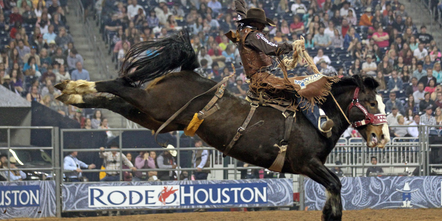 Calgary Stampede image 2