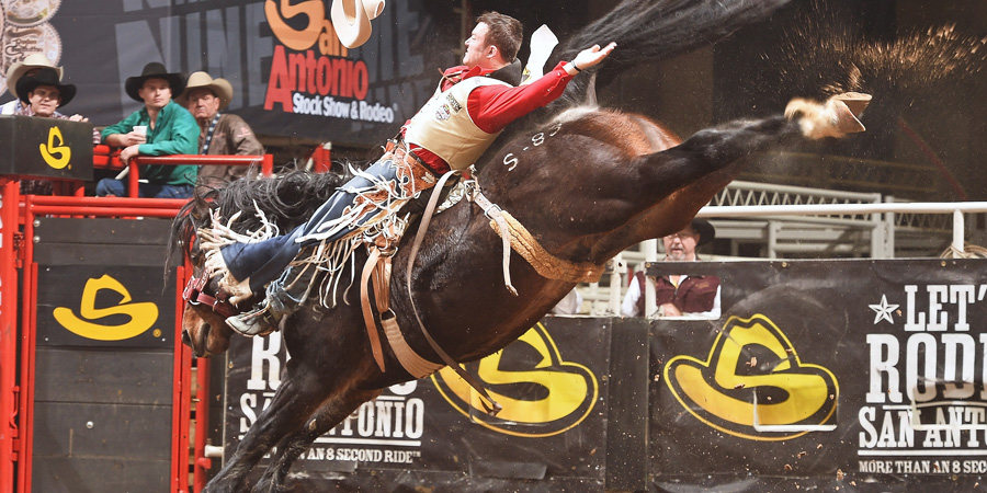 Calgary Stampede image 3