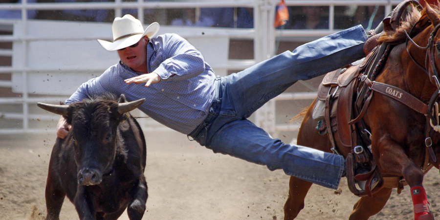 Calgary Stampede image 4