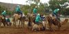 Camel Cup thumb 7