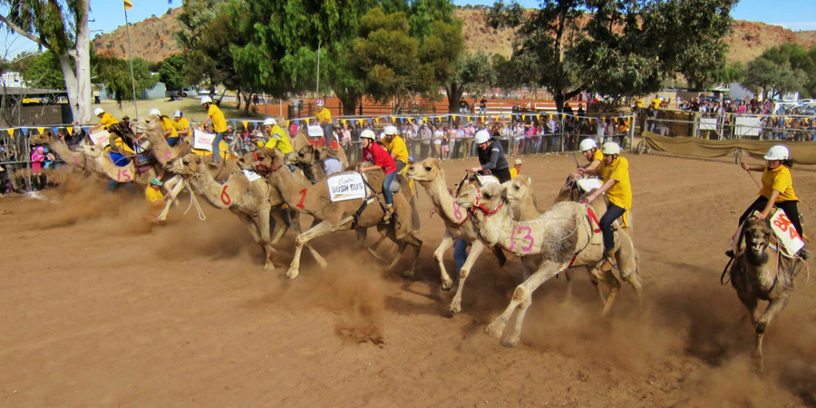 Camel Cup image 6