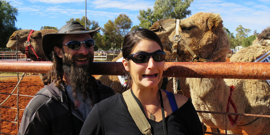 Camel Cup image 8