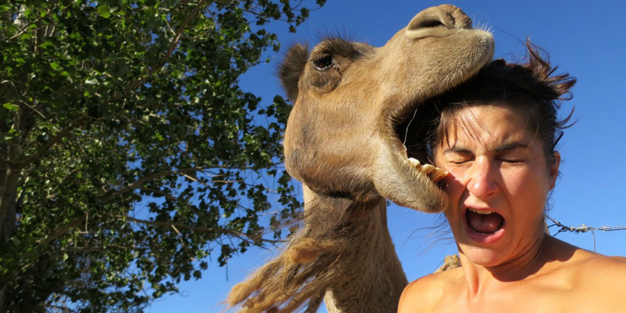 Camel Cup image 9