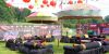 Camp Bestival thumb 8