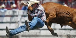 Cheyenne Frontier Days festival