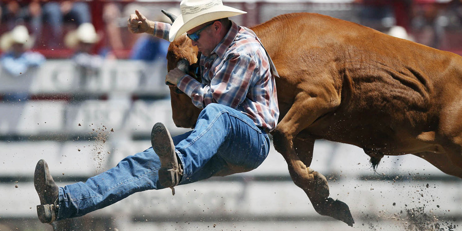 Cheyenne Frontier Days image 0
