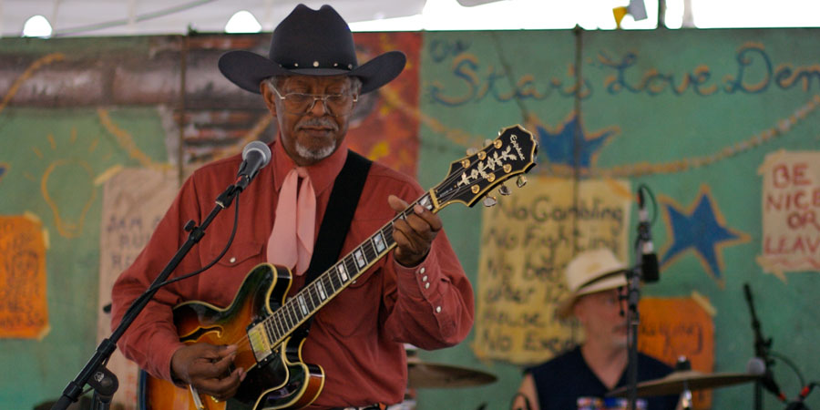 Chicago Blues Festival image 0