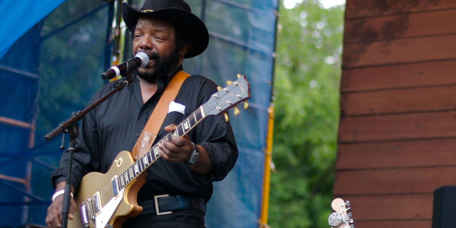 Chicago Blues Festival image 3