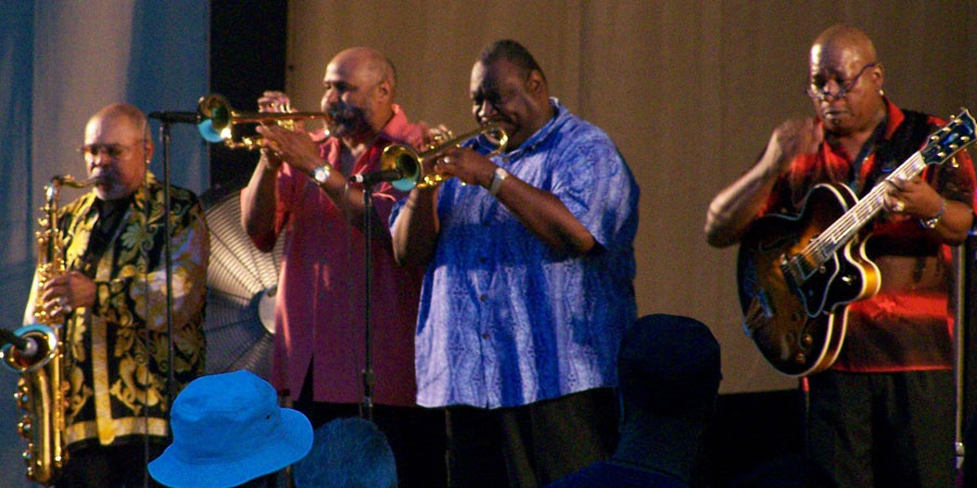 Chicago Blues Festival image 8
