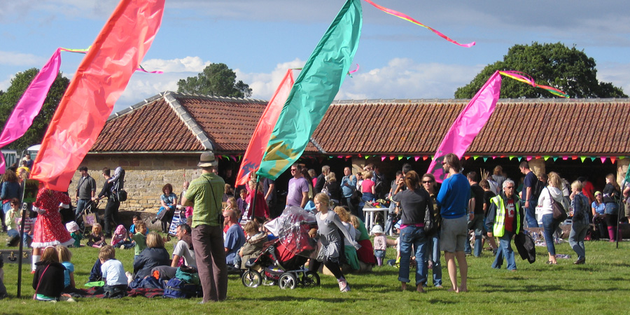 Deer Shed Festival image 6