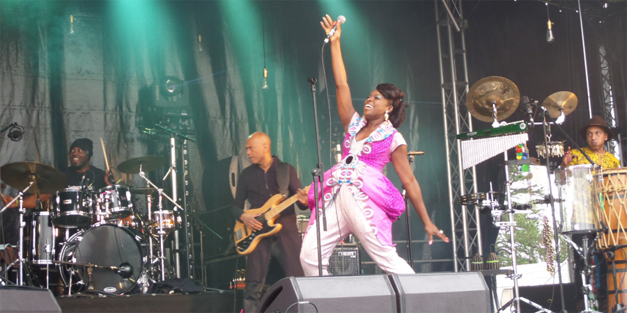 Deer Shed Festival image 7