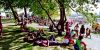 Electric Zoo thumb 13