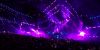 Electric Zoo thumb 18
