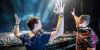 Electric Zoo thumb 3