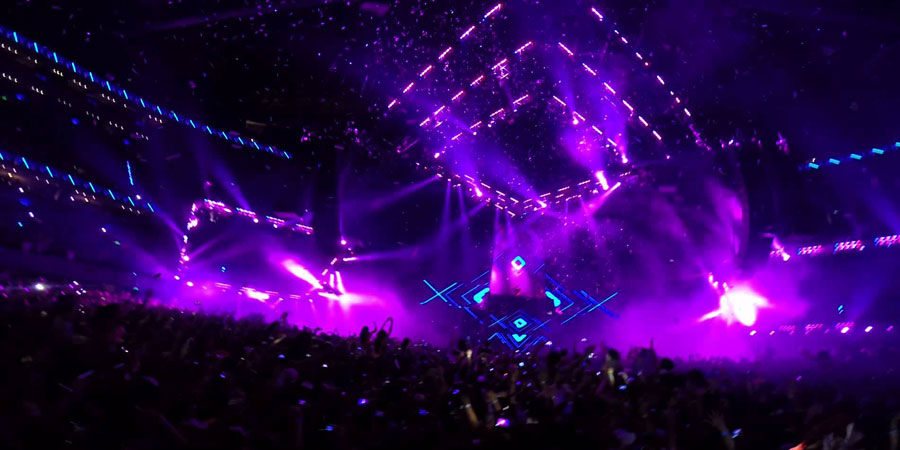 Electric Zoo image 18