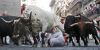 Fiesta de San Fermin thumb 12