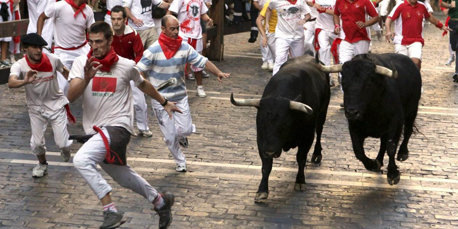 Fiesta de San Fermin image 2